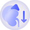 adrenal-down icon